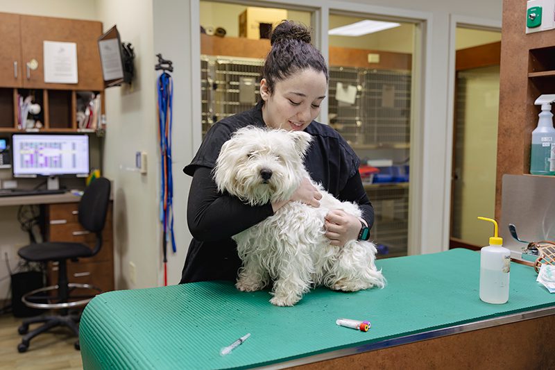 Andie With Patient
