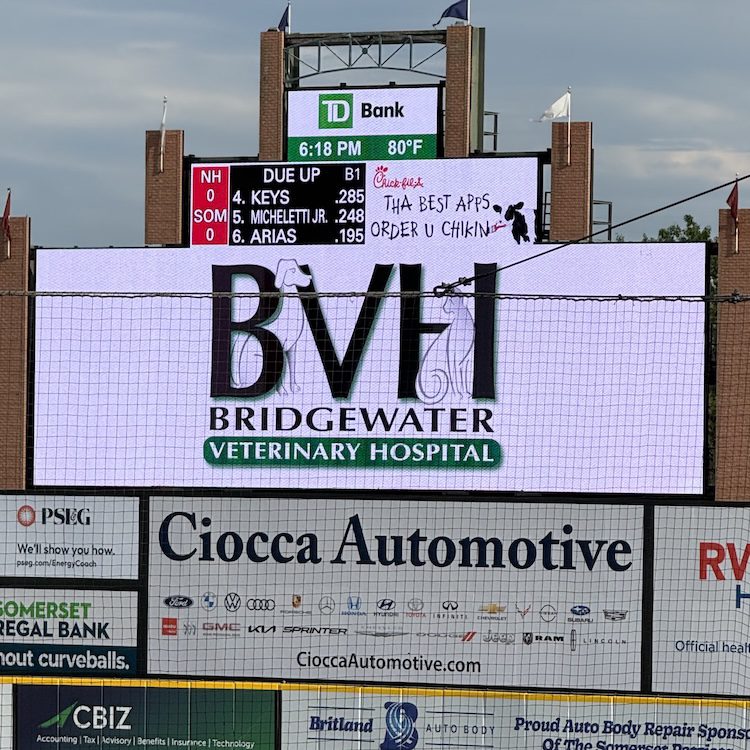 Bvh Sign At Bark In The Park