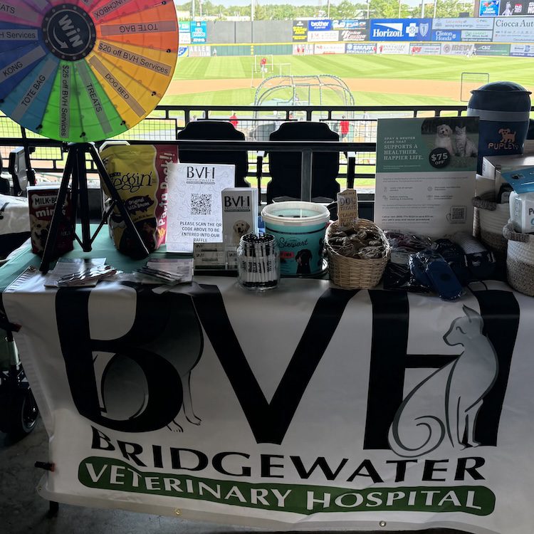 Bark In The Park Table