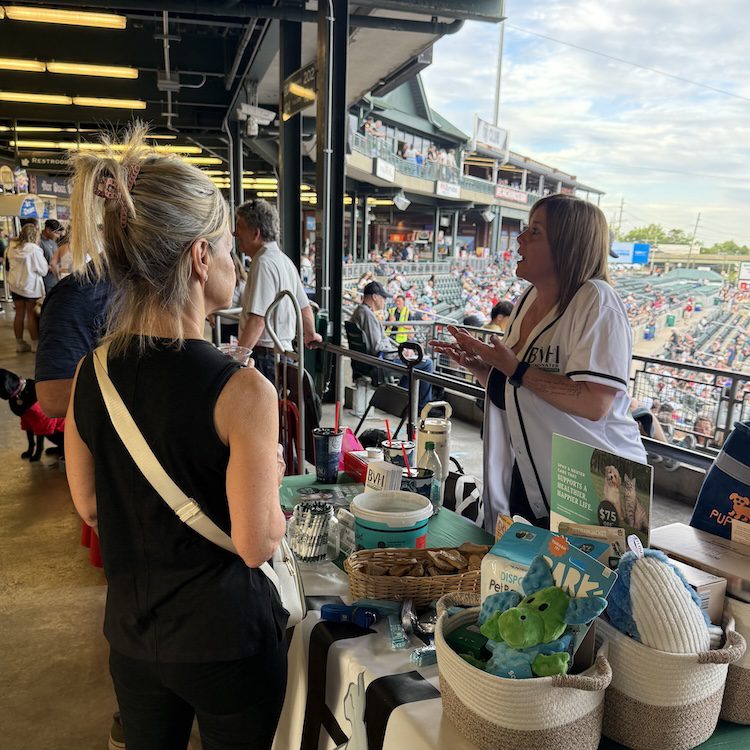 Dm At Bark In The Park
