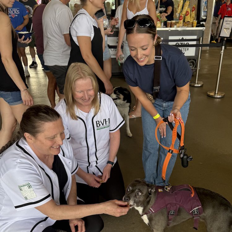 Kr And Th Bark In The Park
