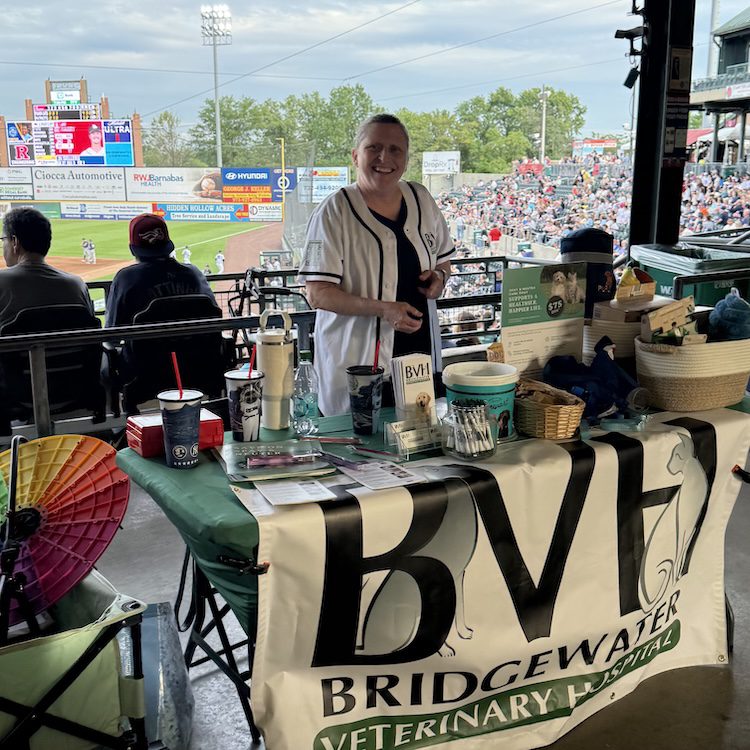 Th Bark In The Park