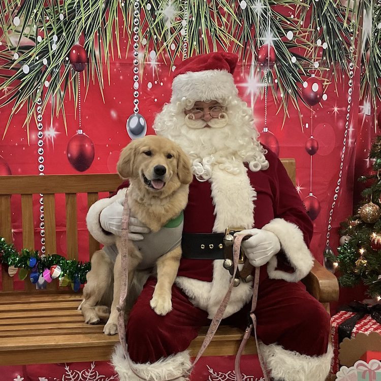 Winnie And Santa