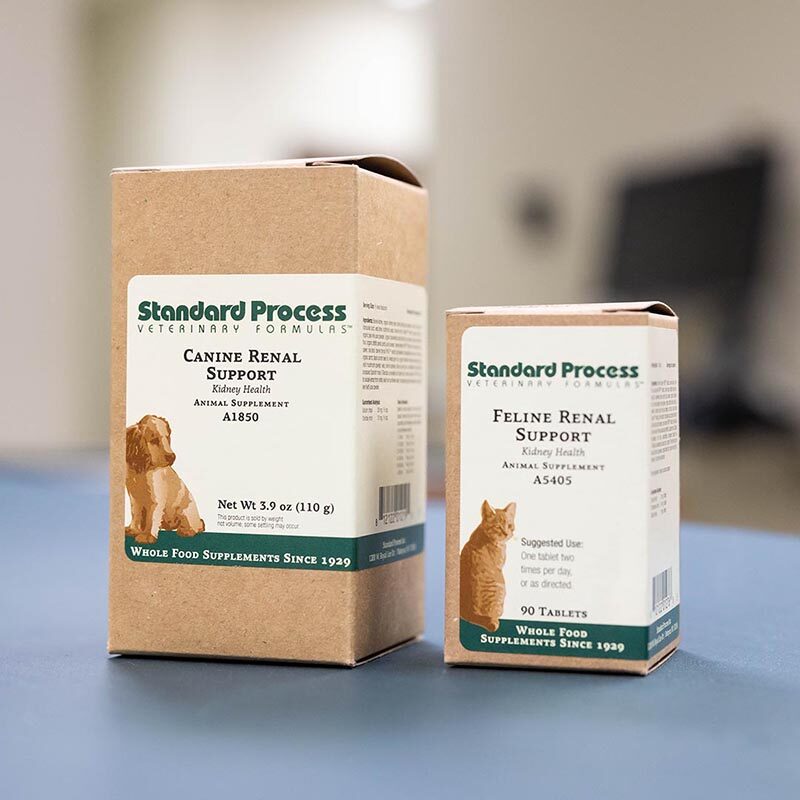Canine And Feline Supplements
